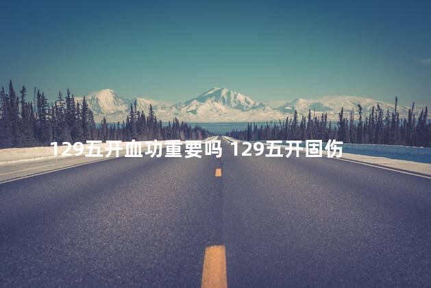 129五开血功重要吗 129五开固伤达标属性
